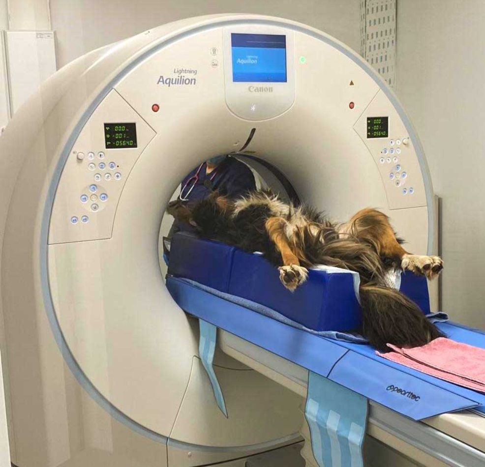 Scanner (hernie discale)