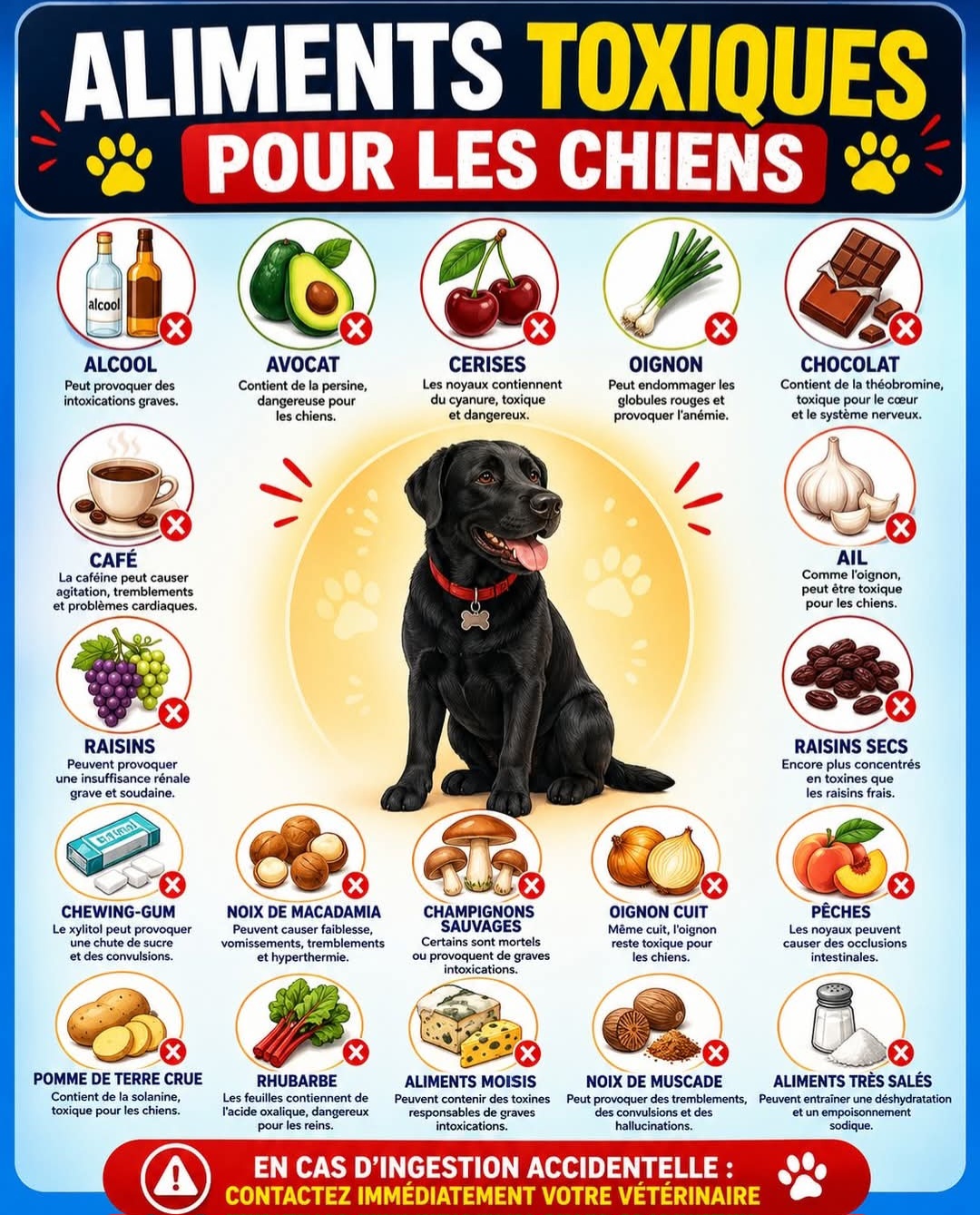 Alerte