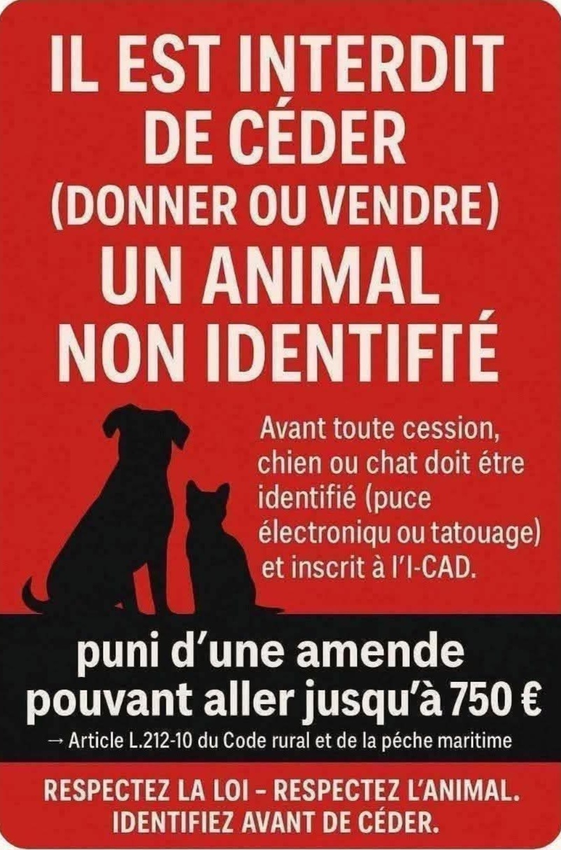 Alerte