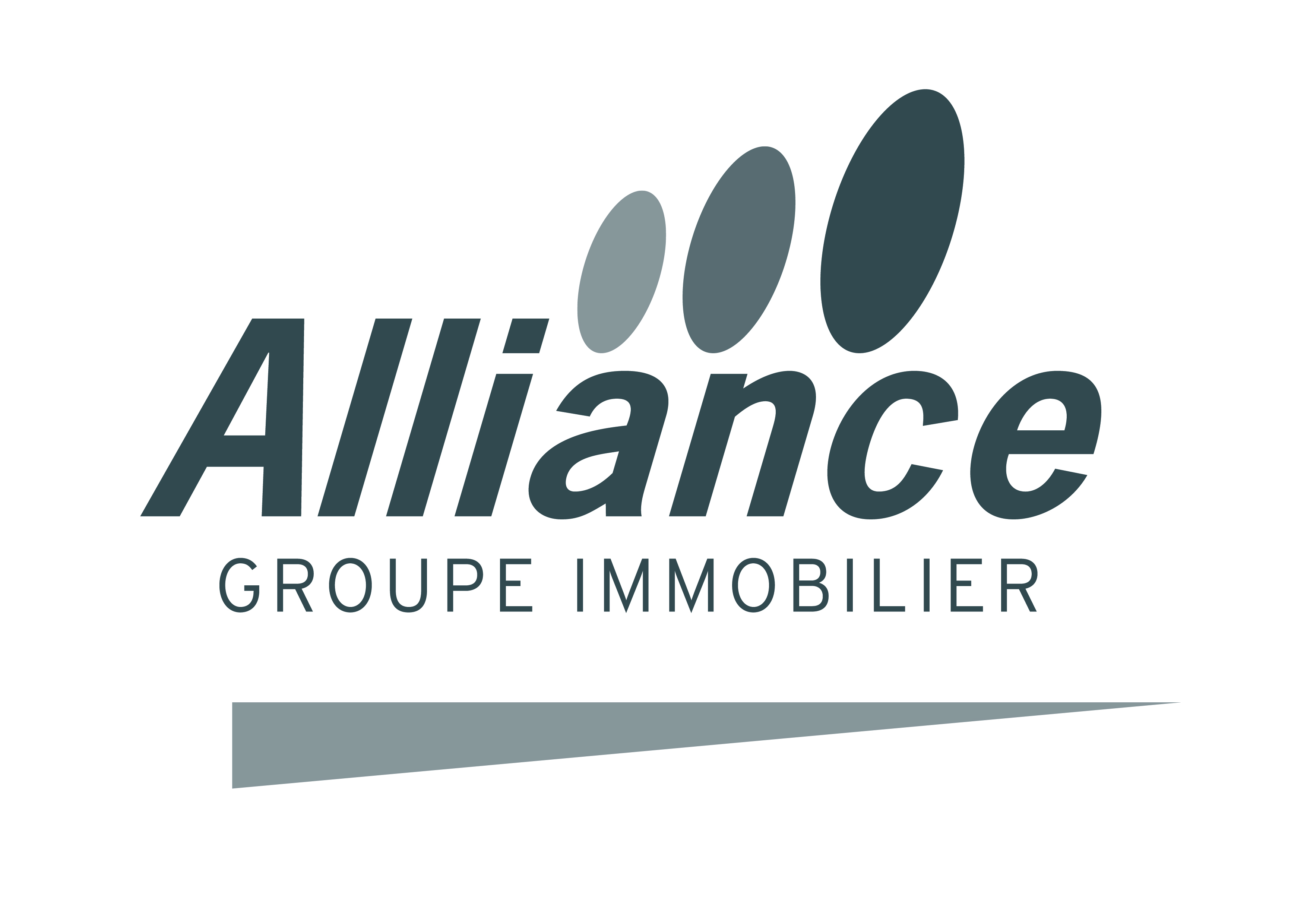 Alliance Immobilier Montbéliard