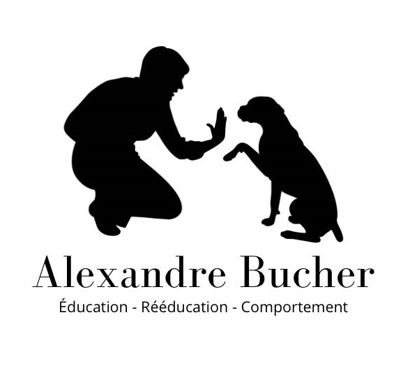 Alexandre Bucher (Educateur-Rééducateur-comportement canin)